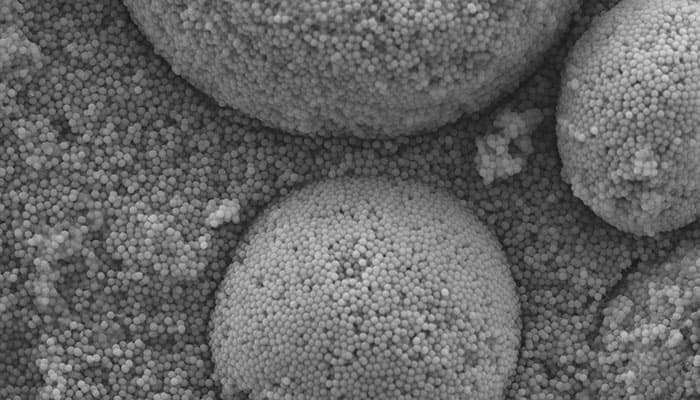 The Case for Single Shade Composites